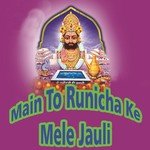 Main To Runicha Ke Mele Jauli - Sokin Chitad Song Download